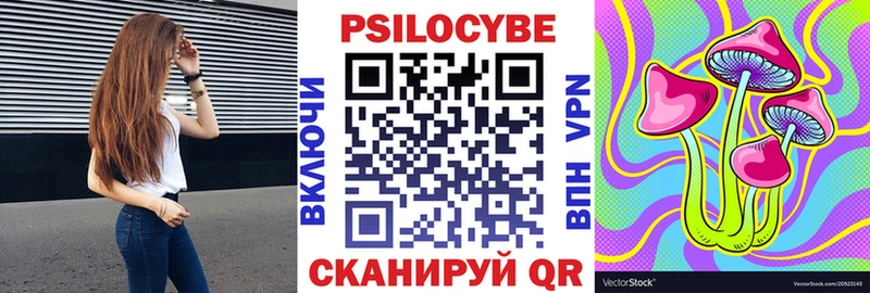 Псилоцибиновые грибы Cubensis  blacksprut сайт  Павловск 